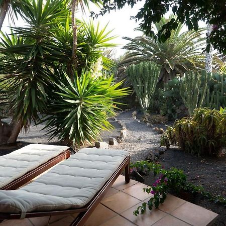 Casa Panama,In Der Finca Mimosa テギセ エクステリア 写真