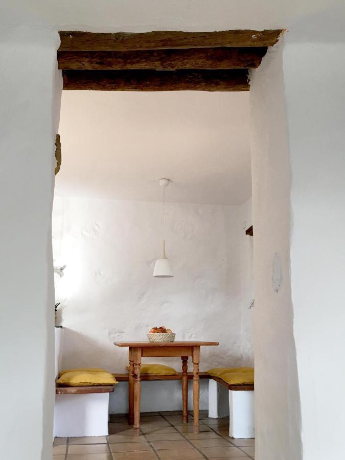 Casa Panama,In Der Finca Mimosa テギセ エクステリア 写真