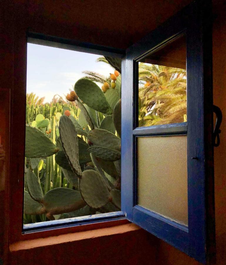 Casa Panama,In Der Finca Mimosa テギセ エクステリア 写真