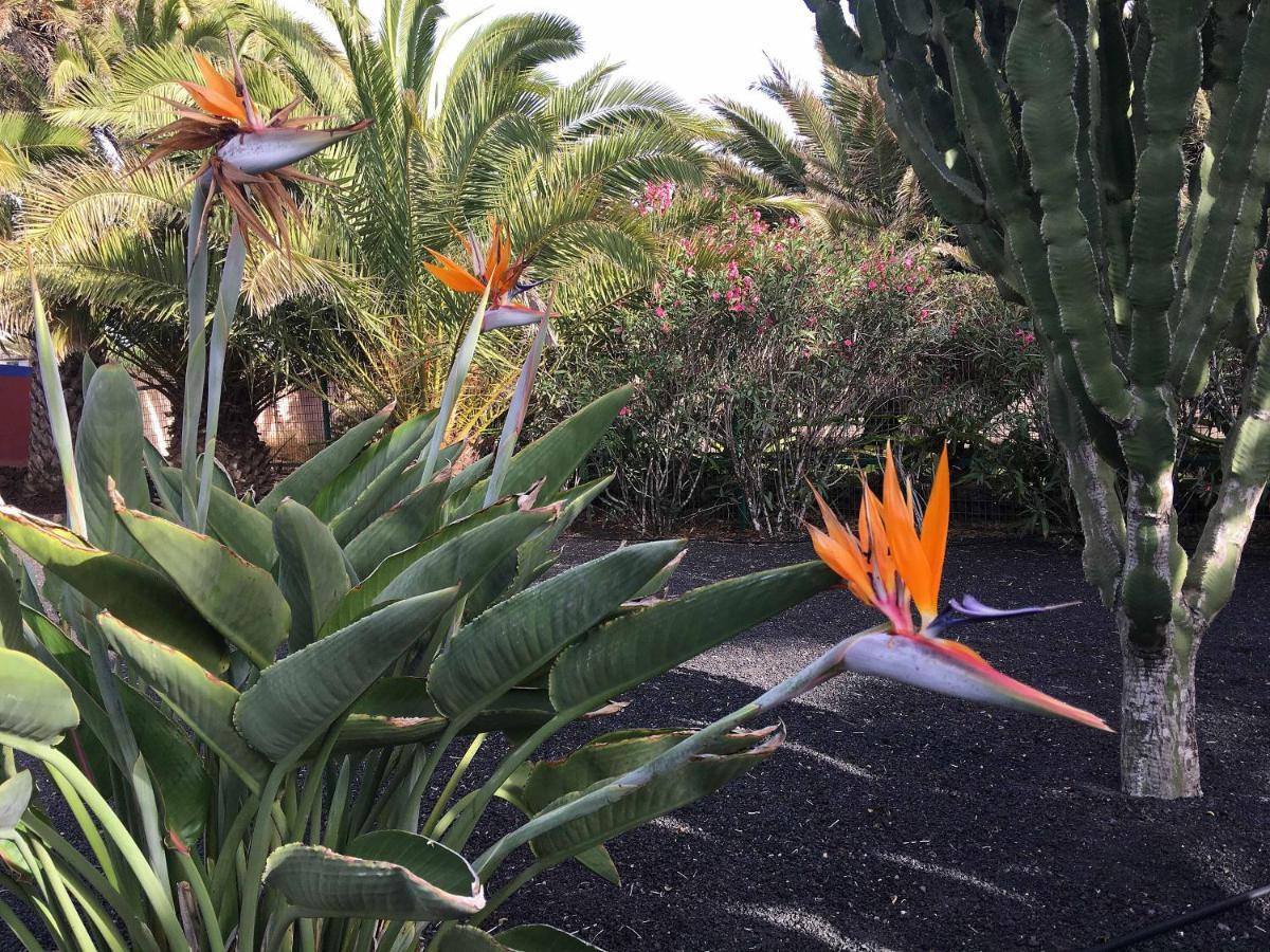 Casa Panama,In Der Finca Mimosa テギセ エクステリア 写真