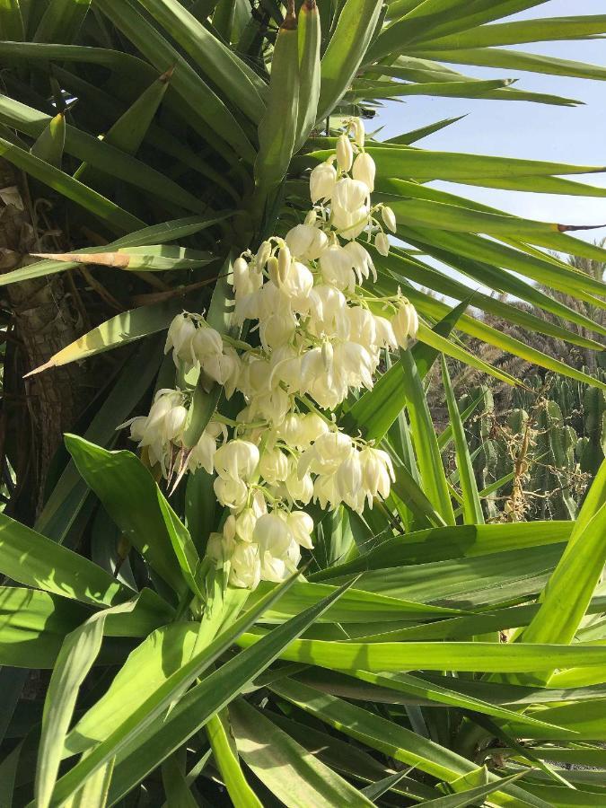 Casa Panama,In Der Finca Mimosa テギセ エクステリア 写真